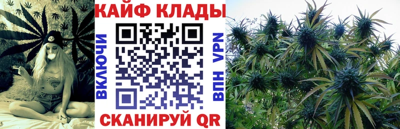 Наркошоп купить ГАШИШ  СК  ТГК  МЕФ  Псилоцибиновые грибы  Берёзовка