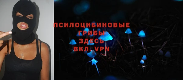 прущие грибы Алексин