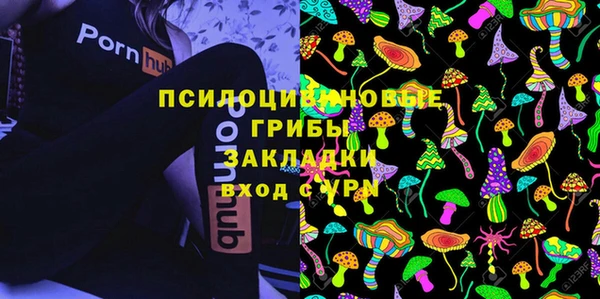 прущие грибы Алексин