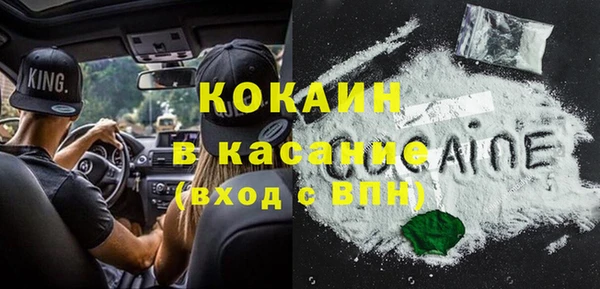 прущие грибы Алексин