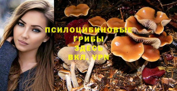 а пвп мука Алексеевка