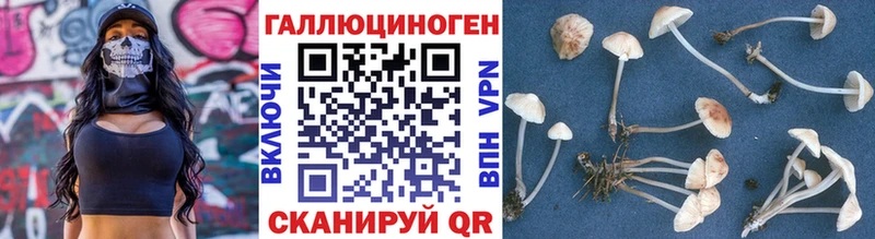 Купить  Берёзовка  Псилоцибиновые грибы GOLDEN TEACHER 